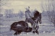 success stories women horse 2 success stories women horse 2